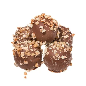 Cocoba Chocolate Chocolate Truffle Trays>Hazelnut Chocolate Truffles (6 Truffles)
