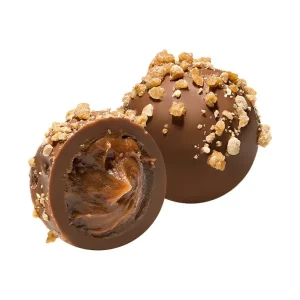 Cocoba Chocolate Chocolate Truffle Trays>Hazelnut Chocolate Truffles (6 Truffles)